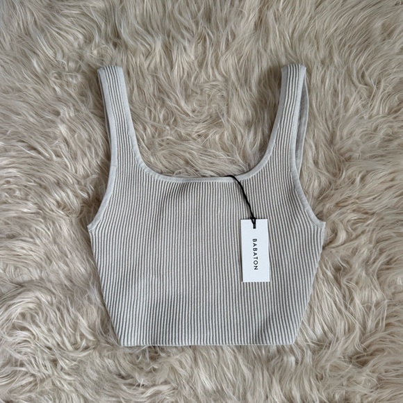 Babaton Tops - NWT Babaton Sculpt Knit Squareneck Matte Pearl Top